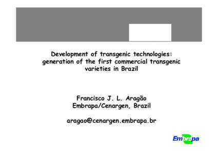 BIOLOGIA MOLECULAR NO SUPERMERCADO Development of transgenic technologies: generation of the first commercial transgenic