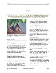 South Carolina Species Information  Voles Voles Prepared by the National Wildlife Control Training Program. http://WildlifeControlTraining.com