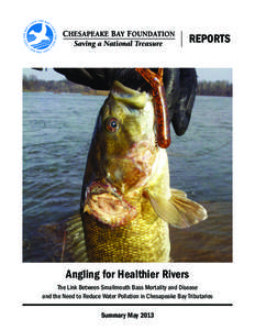 Angling for Healthier Rivers The Link Between Smallmouth Bass Mortality and Disease and the Need to Reduce Water Pollution in Chesapeake Bay Tributaries Summary May 2013