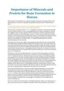 Importance of Minerals and Protein for Bone Formation in Horses The formation of functional bone in young horses requires the delivery of the right material in the right proportions. If any factor is disturbed, the possi