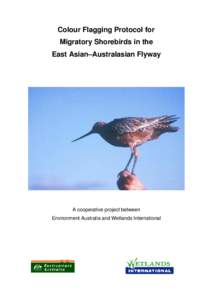 Colour Flagging Protocol for Migratory Shorebirds in the East Asian–Australasian Flyway A cooperative project between Environment Australia and Wetlands International