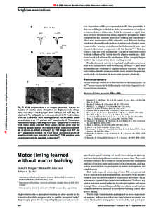 © 2000 Nature America Inc. • http://neurosci.nature.com  brief communications a