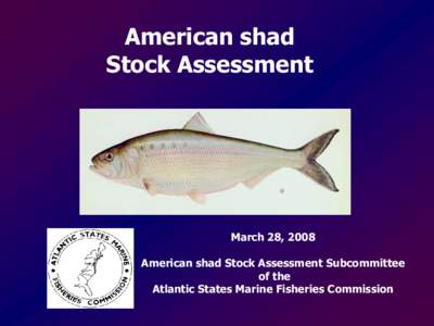 American shad Stock Assessment March 28, 2008 American shad Stock Assessment Subcommittee of the