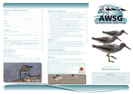 Royal Australasian Ornithologists Union / Shorebirds / East Asian – Australasian Flyway / Tattler / Clive Minton / Victorian Wader Study Group / Ornithology / Australasian Wader Studies Group / Stilt