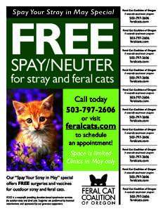 Spay Your Stray in May Special  FREE SPAY/NEUTER  for stray and feral cats
