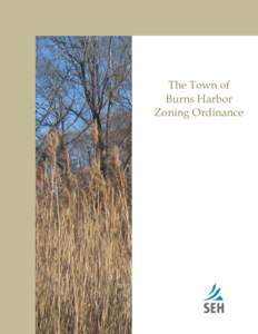 The Town of Burns Harbor Zoning Ordinance Zoning Ordinance 1