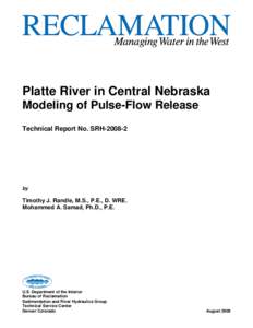 Microsoft Word - Final Report on Pulse Flow Model.RTR.doc