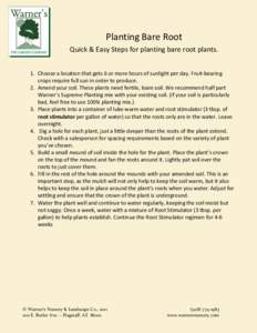 Planting Bare Root Quick & Easy Steps for planting bare root plants. 1. Choose a location that gets 6 or more hours of sunlight per day. Fruit-bearing crops require full sun in order to produce. 2. Amend your soil. These