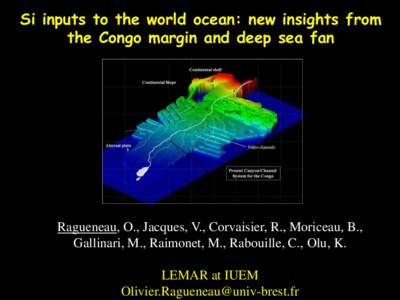 Si inputs to the world ocean: new insights from the Congo margin and deep sea fan Ragueneau, O., Jacques, V., Corvaisier, R., Moriceau, B., Gallinari, M., Raimonet, M., Rabouille, C., Olu, K. LEMAR at IUEM