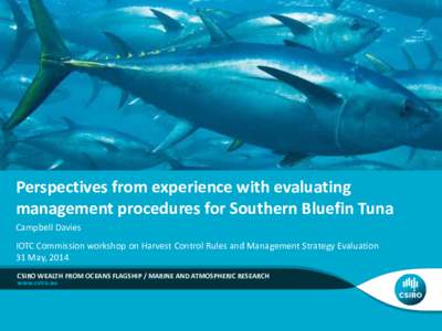 Perspectives from experience with evaluating management procedures for Southern Bluefin Tuna Campbell Davies IOTC Commission workshop on Harvest Control Rules and Management Strategy Evaluation 31 May, 2014 CSIRO WEALTH 