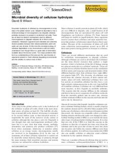 Cellulase / Trichoderma reesei / Clostridium thermocellum / Carbohydrate-binding module / Ruminant / Glycoside hydrolase / Cellulosome / Rumen / Enzyme / Chemistry / Biology / Cellulose