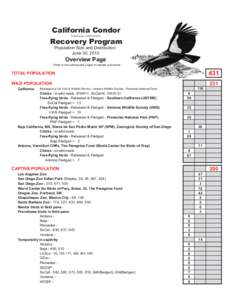 Zoology / California Condor / Ornithology / World Center for Birds of Prey / Biology / The Peregrine Fund / Condor / Bird / Cathartidae / New World vultures / Ventana Wildlife Society