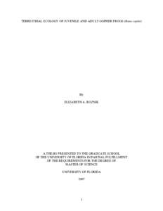 UNIVERSITY OF FLORIDA THESIS OR DISSERTATION FORMATTING TEMPLATE
