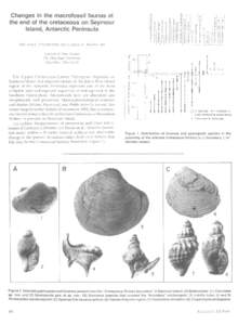 Changes in the macrofossil faunas at the end of the cretaceous on Seymour Island, Antarctic Peninsula I