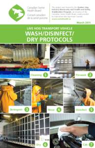 Health / Disinfectant / Parts cleaning / Tide / Car wash / Parts washer / Home / Cleaning / Hygiene