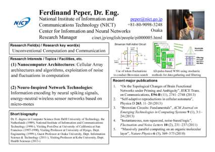 Microsoft PowerPoint - Ferdinand_Peper [互換モード]