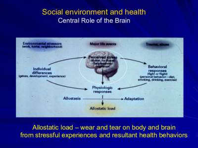 Social Environment and Health: Central Role of the Brain