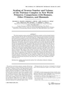 THE JOURNAL OF COMPARATIVE NEUROLOGY 504:265–Scaling of Neuron Number and Volume of the Pulvinar Complex in New World Primates: Comparisons with Humans, Other Primates, and Mammals