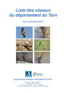 Liste des oiseaux du département du Tarn Au 31 décembre 2015 Ligue pour la Protection des Oiseaux du Tarn Place de la mairie – BP 20027