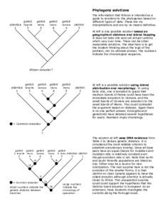 Phylogeny solutions galloti atlantica Tenerife 1 3