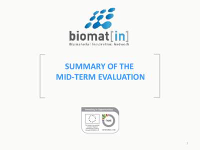 SUMMARY OF THE MID-TERM EVALUATION 1  Activities and results