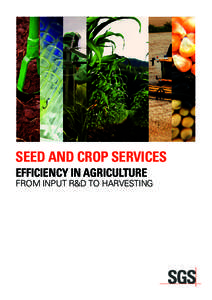 SEED AND CROP SERVICES EFFICIENCY IN AGRICULTURE FROM INPUT R&D TO HARVESTING  SGS PROVIDES FIELD