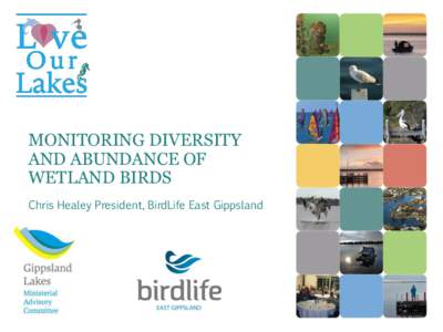 MONITORING DIVERSITY AND ABUNDANCE OF WETLAND BIRDS Chris Healey President, BirdLife East Gippsland  GIPPSLAND LAKES IMPORTANT BIRD AREA