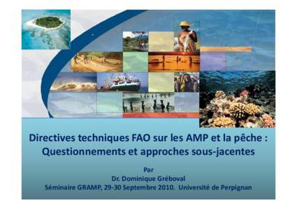 Directives techniques FAO sur les AMP et la pêche : Questionnements et approches sous-jacentes Par Dr. Dominique Gréboval Séminaire GRAMP, 29-30 Septembre[removed]Université de Perpignan