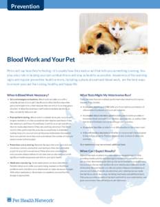 Prevention  Blood Work and Your Pet Pets can’t say how they’re feeling—it’s usually how they look or act that tells you something is wrong. You play a key role in helping your pet combat illness and stay as healt