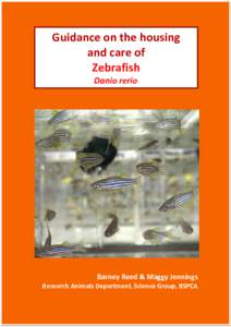 Guidance on the housing and care of Zebrafish Danio rerio  Barney Reed & Maggy Jennings