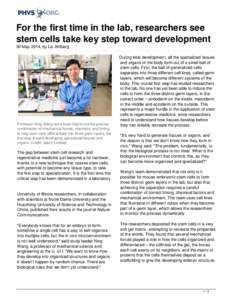 For the first time in the lab, researchers see stem cells take key step toward development