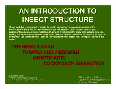 Insect anatomy / Orders of insects / Eye / Arthropods / Entomology / Insect / Cockroach / Maxilla / Ommatidium / Taxonomy / Zoology / Phyla