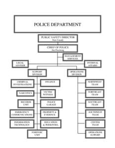  POLICE DEPARTMENT PUBLIC SAFETY DIRECTOR