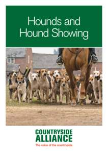 Hounds and Hound Showing The Hounds  Packs of hounds have been carefully bred over hundreds of years to hunt their specific