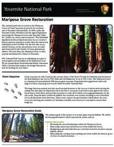 Yosemite National Park  National Park Service U.S. Department of the Interior  Mariposa Grove Restoration