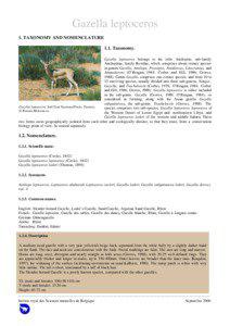 Gazella leptoceros 1. TAXONOMY AND NOMENCLATURE 1.1. Taxonomy.