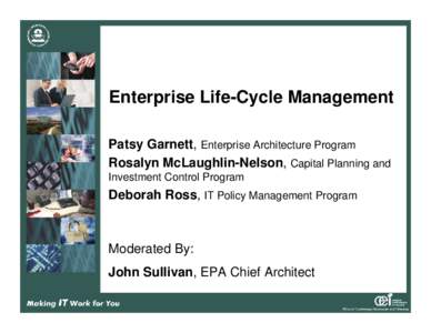 Information security / Enterprise life cycle / Enterprise Architecture Assessment Framework / Enterprise architecture / Information technology management / Enterprise architect