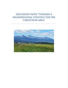 DISCUSSION PAPER “TOWARDS A MACROREGIONAL STRATEGY FOR THE CARPATHIAN AREA” -----------------------------------------------------------------------------------------------------------------------  Sommaire