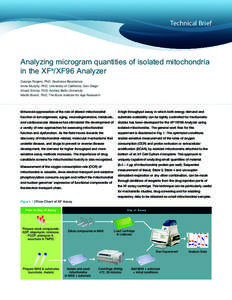 Technical Brief  Analyzing microgram quantities of isolated mitochondria in the XFe/XF96 Analyzer George Rogers, PhD, Seahorse Bioscience Anne Murphy, PhD, University of California, San Diego