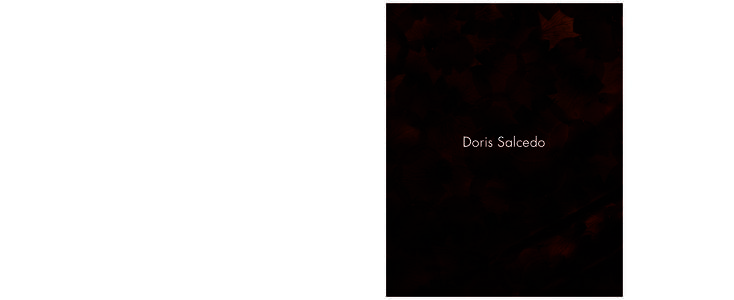 4  Doris Salcedo Edited by Julie Rodrigues Widholm, with an introduction by Madeleine Grynsztejn and contributions by Elizabeth Adan, Katherine Brinson,