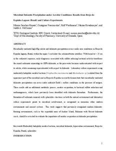 Microbial Dolomite Precipitation under Aerobic Conditions: Results from Brejo do Espinho Lagoon (Brazil) and Culture Experiments Mónica Sánchez-Román1, Crisógono Vasconcelos1, Rolf Warthmann1, Marian Rivadeneyra2, and