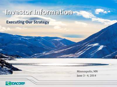 Investor Information  Minneapolis, MN June 3 - 4, 2014  Forward-Looking Statements