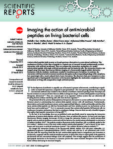Imaging the action of antimicrobial peptides on living bacterial cells SUBJECT AREAS: SURFACES, INTERFACES AND THIN FILMS