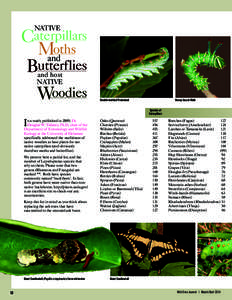 NATIVE  Caterpillars Mandoths Butterflies Woodies