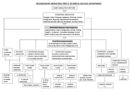 ORGANOGRAM: INFRASTRUCTURE & TECHNICAL SERVICES DEPARTMENT CHIEF EXECUTIVE OFFICER STRATEGIC EXECUTIVE Strategies, Project Proposals, Budgeting, Tendering, Contract Management, Reporting, Organizational Development, Mini