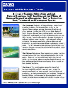 Patuxent Wildlife Research Center Ecology of Raccoons Within Cape Lookout National Seashore, North Carolina, and the Efficacy of Raccoon Removal as a Management Tool for Protecting Rare, Threatened, and Endangered Specie