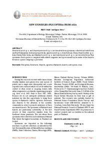 Stark, B.P. & I. Sivec[removed]New Stoneflies (Plecoptera) from Asia. Illiesia, 4(1):1-10. Available online: http://www2.pms-lj.si/illiesia/Illiesia04-01.pdf