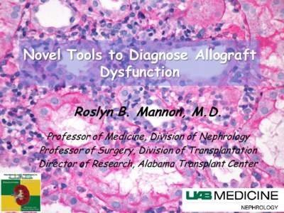 Novel Tools to Diagnose Allograft Dysfunction Roslyn B. Mannon, M.D. Professor of Medicine, Division of Nephrology Professor of Surgery, Division of Transplantation Director of Research, Alabama Transplant Center