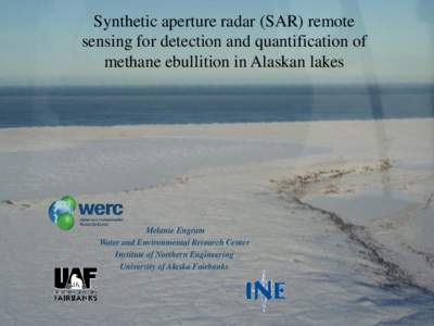 Lakes  SAR Ebullition Research(SAR)Results Synthetic