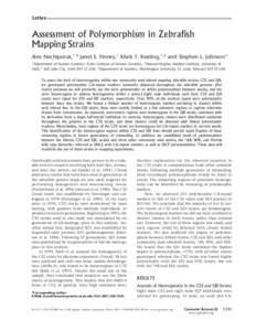 Letter  Assessment of Polymorphism in Zebrafish Mapping Strains Alex Nechiporuk,1,4 Janet E. Finney,1 Mark T. Keating,1,2 and Stephen L. Johnson3 1